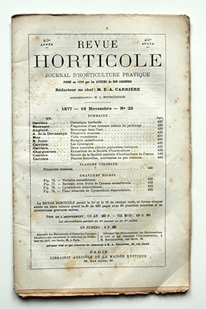 Imagen del vendedor de Revue Horticole. Journal d'Horticulture Pratique. 49e anne 16 Novembre 1877 No 22. a la venta por Versandantiquariat Hsl