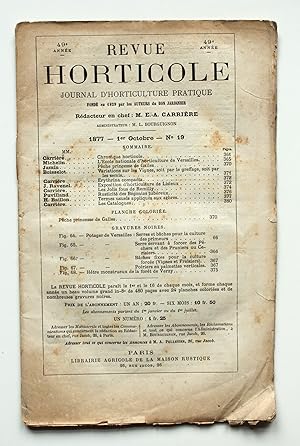 Bild des Verkufers fr Revue Horticole. Journal d'Horticulture Pratique. 49e anne 1er Octobre 1877 No 19. zum Verkauf von Versandantiquariat Hsl