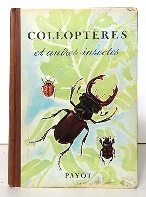 Coléoptères et autres insectes.