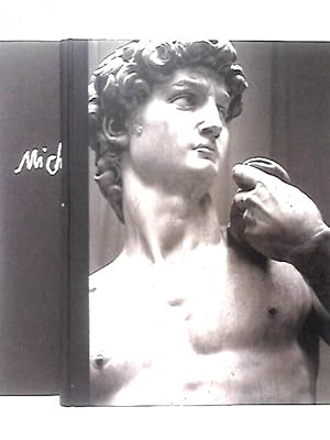 Bild des Verkufers fr Michelangelo zum Verkauf von World of Rare Books