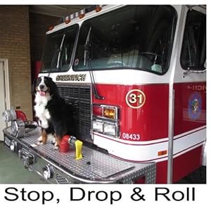 Seller image for Stop, Drop & Roll for sale by GreatBookPrices