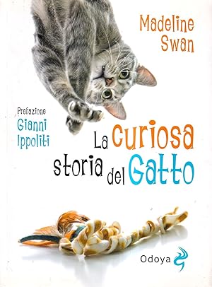 La curiosa storia del gatto