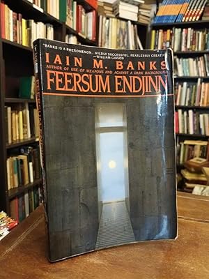 Feersum Endjinn