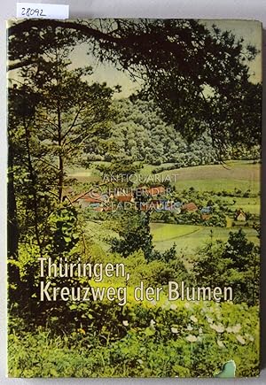 Thüringen, Kreuzweg der Blumen. Eine kleine Pflanzengeographie. Aufnahmen v. Otto Fröhlich.