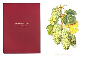 Bild des Verkufers fr Grapes And Grape Vines Of California. zum Verkauf von John Windle Antiquarian Bookseller, ABAA