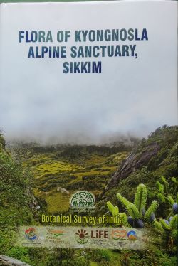 Seller image for Flora of Kyongnosla Alpine Sanctuary, Sikkim for sale by Vedams eBooks (P) Ltd