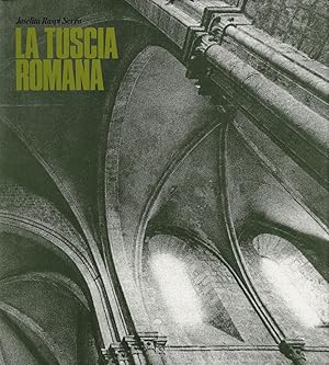 La Tuscia romana : un territorio come esperienza d'arte: evoluzione urbanistico-architettonica