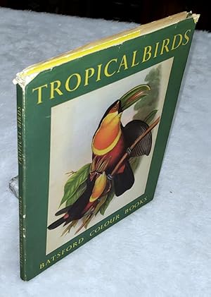 Tropical Birds from Plates By John Gould