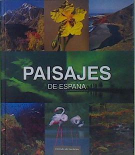 Bild des Verkufers fr Paisajes de Espaa zum Verkauf von Almacen de los Libros Olvidados