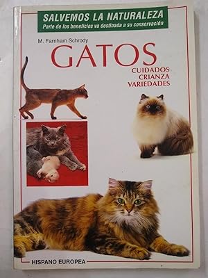 Image du vendeur pour Gatos (Spanish Edition) mis en vente par SoferBooks