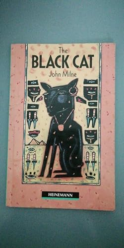 Immagine del venditore per Black Cat: Heinemann Guided Readers venduto da SoferBooks