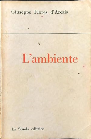 L'ambiente