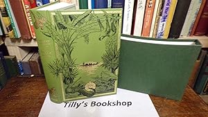 Seller image for In Trouble Again for sale by Tilly's Bookshop