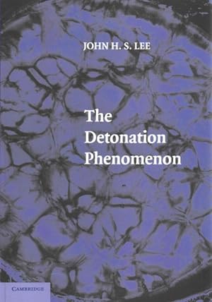 Seller image for Detonation Phenomenon for sale by GreatBookPricesUK