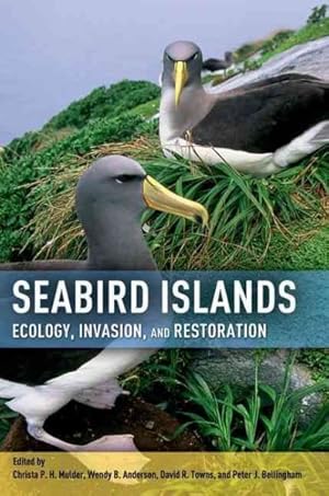 Seller image for Seabird Islands : Ecology, Invasion, and Restoration for sale by GreatBookPricesUK
