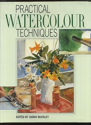Seller image for Practical Watercolour Techniques for sale by Roger Lucas Booksellers