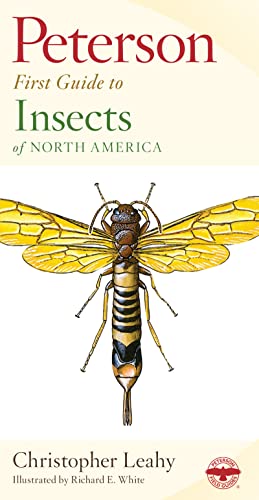 Seller image for Peterson First Guide To Insects Of North America for sale by -OnTimeBooks-