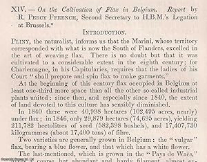 Seller image for The Cultivation of Flax in Belgium. An original article from the Journal of The Royal Agricultural Society of England, 1866. for sale by Cosmo Books