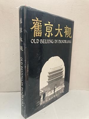 Old Beijing in panorama