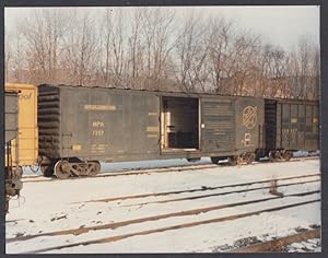 Immagine del venditore per Maryland & Pennsylvania Railroad color photo: Steel box car open door #7357 1988 venduto da The Jumping Frog