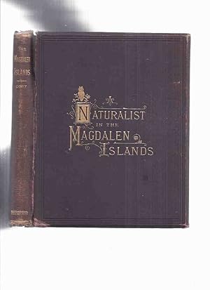 Seller image for A Naturalist in the Magdalen Islands Giving a Description of the Islands and List of the Birds Taken There, with Other Ornithological Notes by Charles B Cory (SIGNED )( St Lawrence Gulf; Byron / Grindstone Island; Bird Rocks; etc) for sale by Leonard Shoup