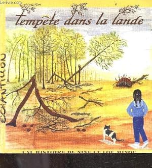 Image du vendeur pour Tempte dans la lande - une histoire Nine et Lou Minou mis en vente par Le-Livre