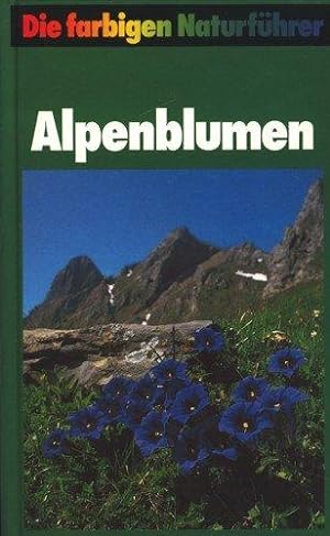 Bild des Verkufers fr Alpenblumen zum Verkauf von Die Buchgeister