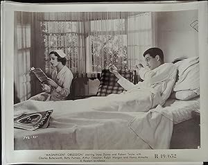 Seller image for Magnificent Obsession 8 X 10 Still 1935 Robert Taylor, Sara Haden! for sale by AcornBooksNH