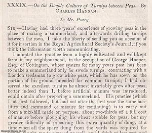 Seller image for The Double Culture of Turnips between Peas. An original article from the Journal of the Royal Agricultural Society of England, 1846. for sale by Cosmo Books