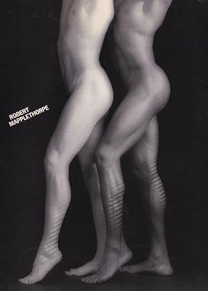 Immagine del venditore per Robert Mapplethorpe venduto da i libri di Prospero (ILAB - ALAI)