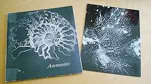 Les Ammonites ou cornes d'Ammon Photographies Clovis Prevost Maquette A. Le Breton