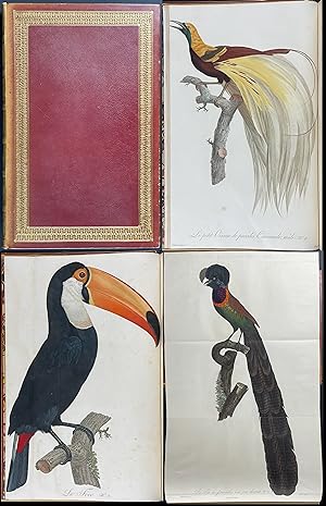 original lithograph - First Edition - Seller-Supplied Images - Books -  AbeBooks
