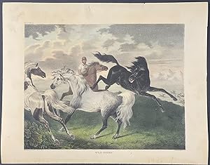 Seller image for Wild Horses for sale by Trillium Antique Prints & Rare Books