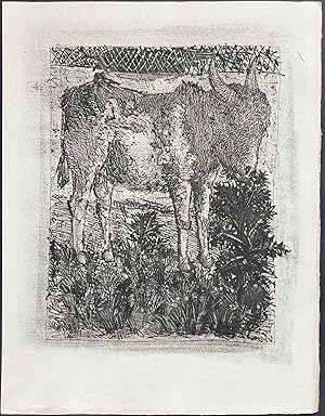 Seller image for L'Ane (The Donkey) for sale by Trillium Antique Prints & Rare Books