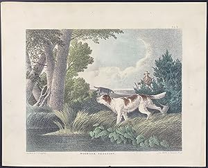 Seller image for Woodcock Shooting for sale by Trillium Antique Prints & Rare Books