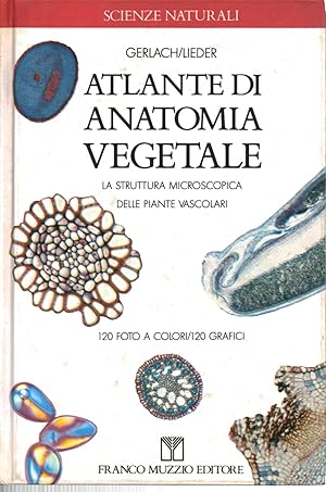 Seller image for Atlante di anatomia vegetale La struttura microscopica delle piante vascolari for sale by Di Mano in Mano Soc. Coop