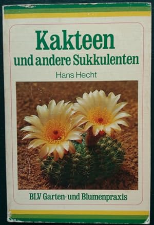 Kakteen und andere Sukkulenten.