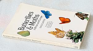 Imagen del vendedor de Butterflies and Moths in Britain and Europe a la venta por Cotswold Valley Books
