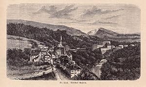 Imagen del vendedor de Wildbad Gastein. Teilansicht. Holzstich aus Spamer`s illustriertem Lexikon. a la venta por Antiquariat Heinz Tessin