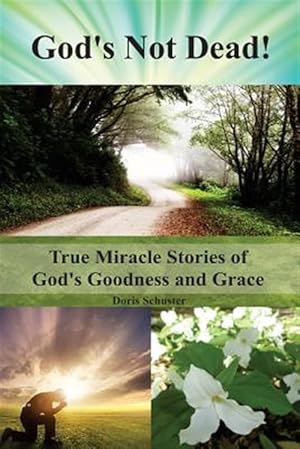 Immagine del venditore per God's Not Dead!: True Miracle Stories of God's Goodness and Grace venduto da GreatBookPrices