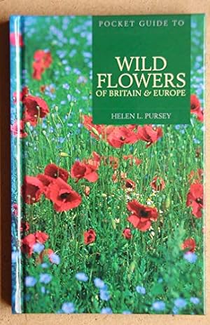 Seller image for Pocket Guide to Wild Flowers of Britain & Europe for sale by WeBuyBooks