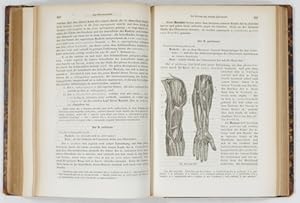 Bild des Verkufers fr Lehrbuch der Anatomie des Menschen. zum Verkauf von Antiq. F.-D. Shn - Medicusbooks.Com