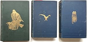 3 Bird Books: 1.A Year with Birds, 1889,265 pp. 2. Tales of Birds, 1888, 209pp.signed; 3. More Ta...