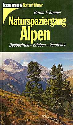 Imagen del vendedor de Naturspaziergang Alpen. Beobachten - Erleben - Verstehen a la venta por ConchBooks