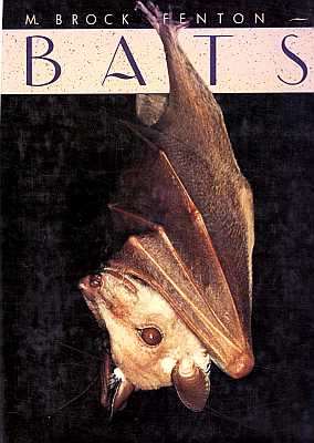 Seller image for Bats for sale by ConchBooks