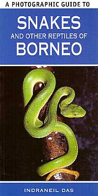 Bild des Verkufers fr Snakes and other Reptiles of Borneo zum Verkauf von ConchBooks