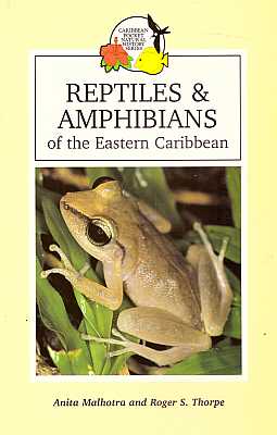 Bild des Verkufers fr Reptiles & Amphibians of the Eastern Caribbean zum Verkauf von ConchBooks