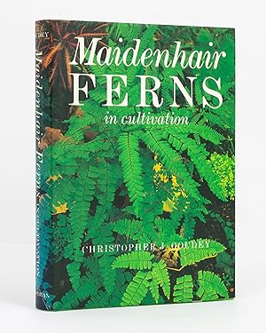 Maidenhair Ferns in Cultivation