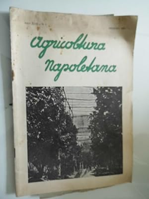 AGRICOLTURA NAPOLETANA Anno XVIII N.1 GENNAIO 1951