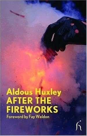 Seller image for After the Fireworks (Modern Voices) (Hesperus Modern Voices) for sale by WeBuyBooks